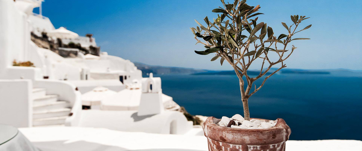 Alexander’s Boutique Hotel of Oia