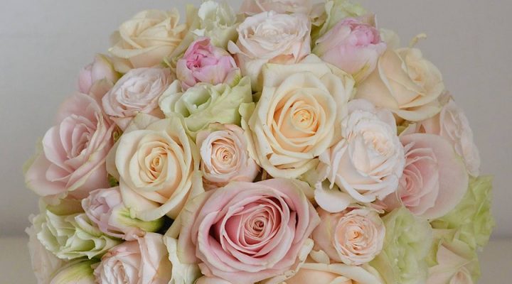 Leonardou Flowers
